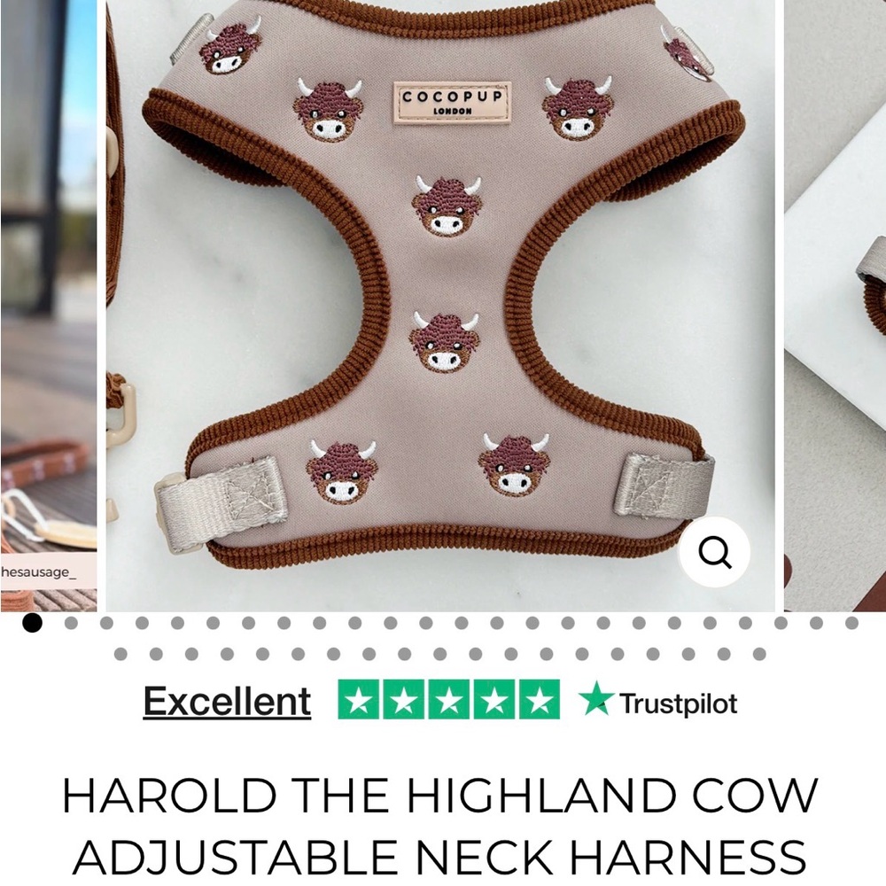 Cocopup London Harold the Highland Cow Harness